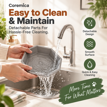 Coremica HydroServe Pet Feeder